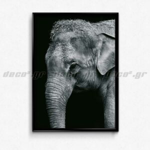 White Elephant Αφίσα Photography Poster διακόσμηση τοίχου