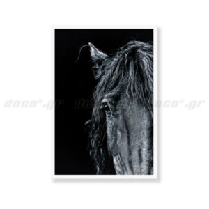 Αφίσα διακόσμησης Dark Horse